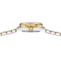 Montre Festina Femme Swiss Made in Acier F20088/3 - F20088/3